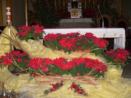 Boże narodzenie 2011