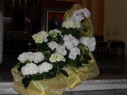 wielki_czwartek_5_20120504_1394295909