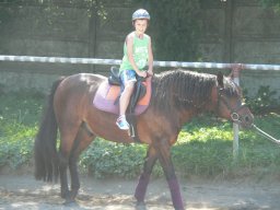 lato2015_20150803_2069691712