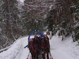 polkolonie_20170131_1742737746