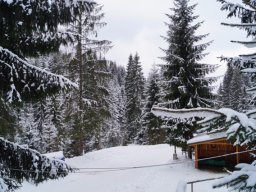polkolonie_20170131_1832564511