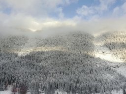 _58_20200104_1226596898